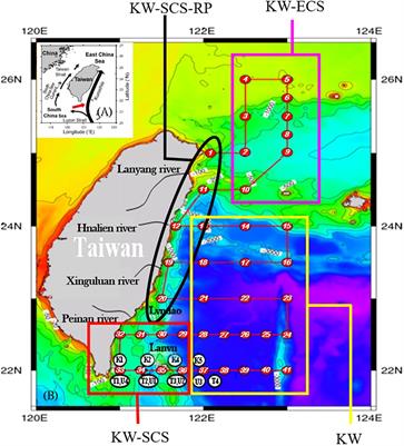 Characterizing dissolved inorganic and organic nutrients in the oligotrophic Kuroshio Current off eastern Taiwan during warm seasons